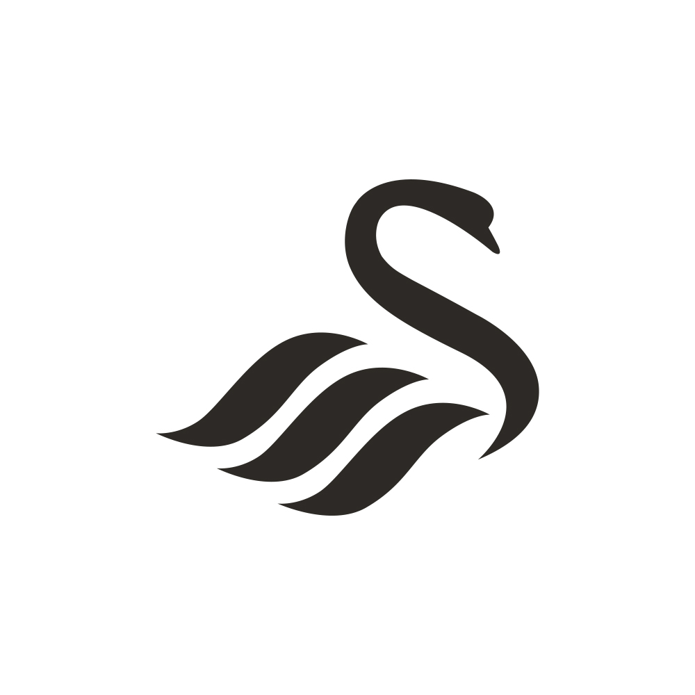 Swansea shop football club