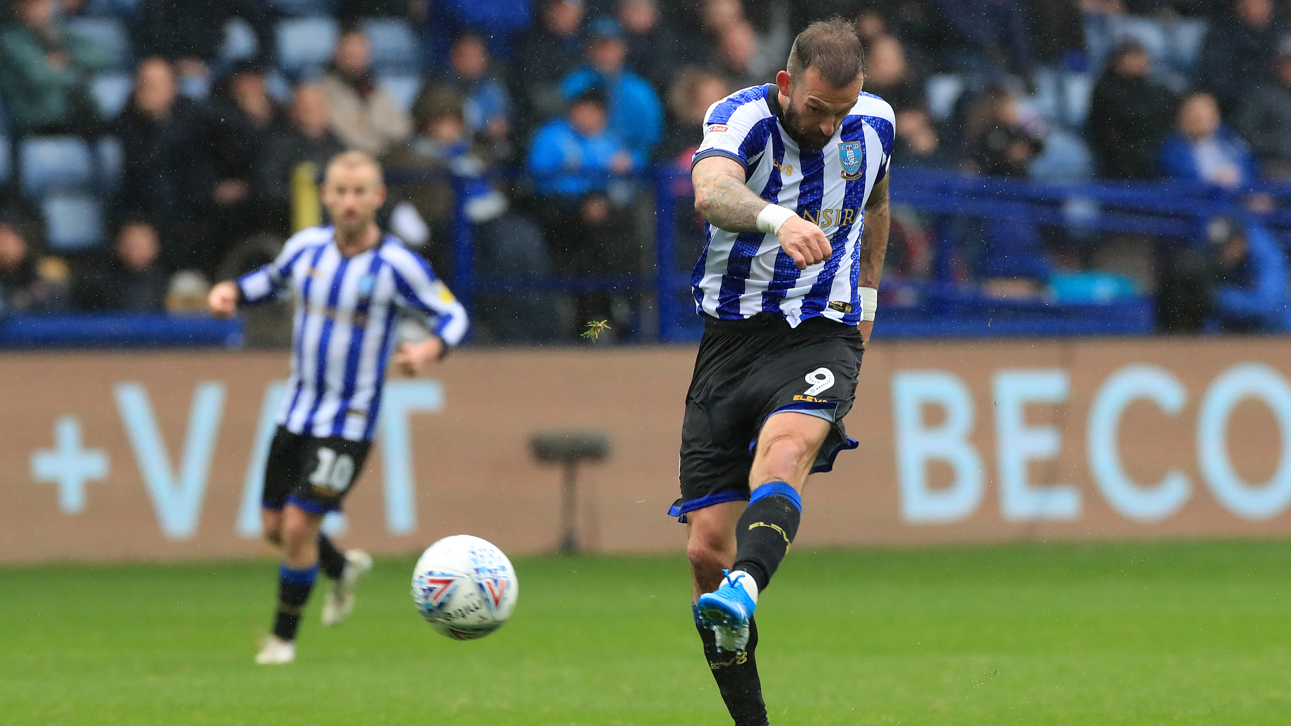 Sheffield Wednesday Steven Fletcher