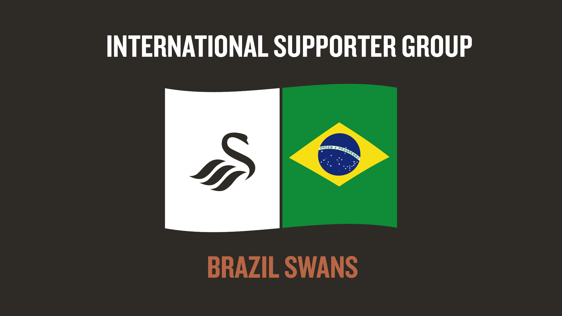 Brazil Swans