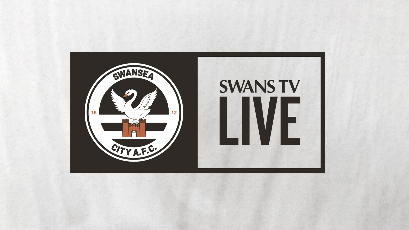 Audio commentary available for Southampton FA Cup tie Swansea