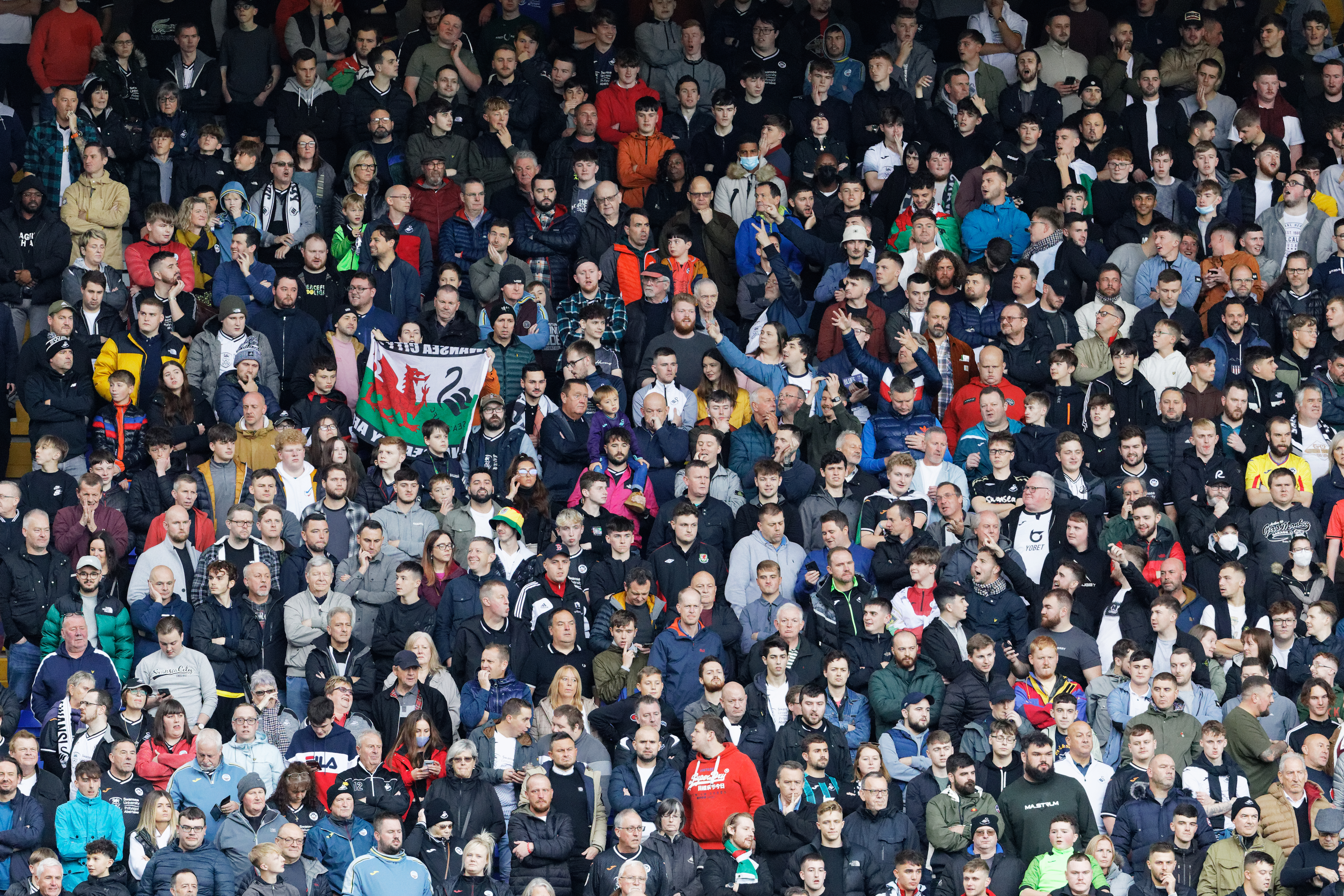 Fans Birmingham City