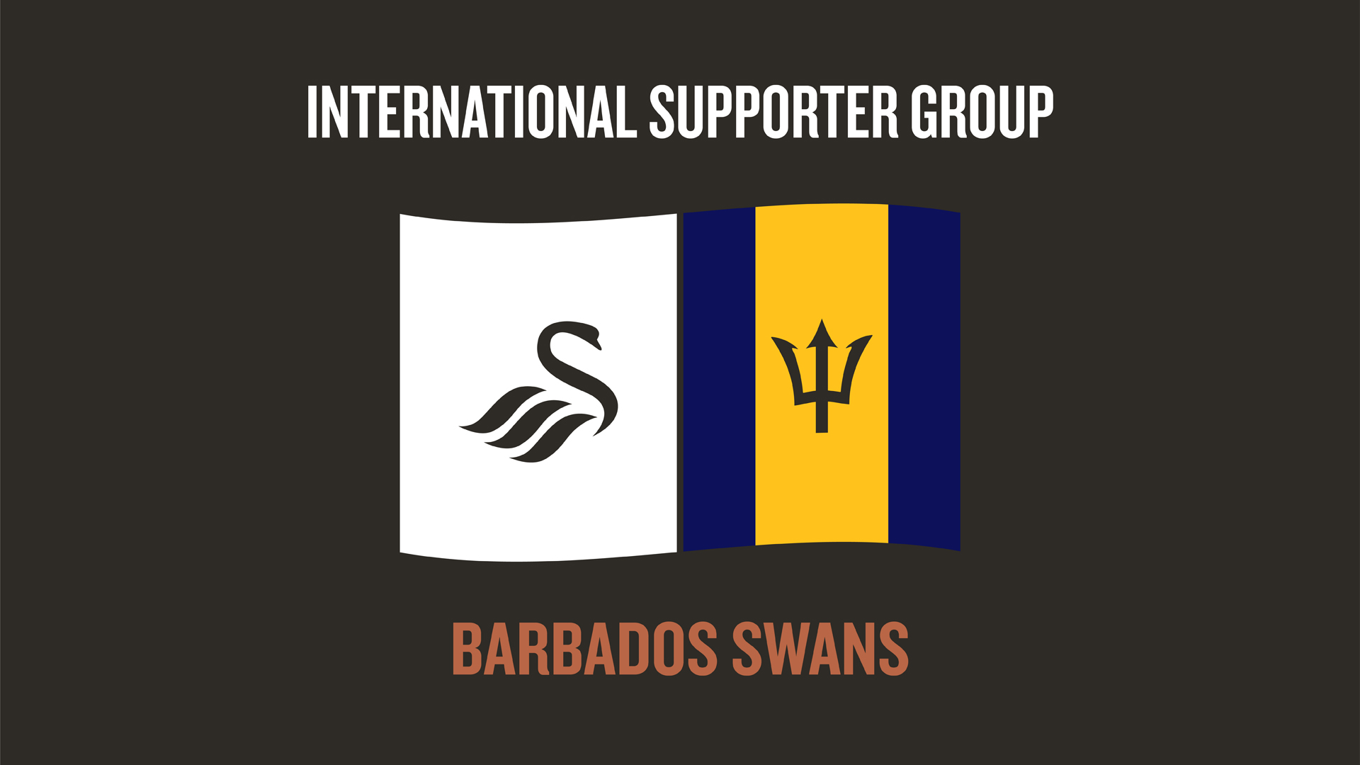 Barbados Swans