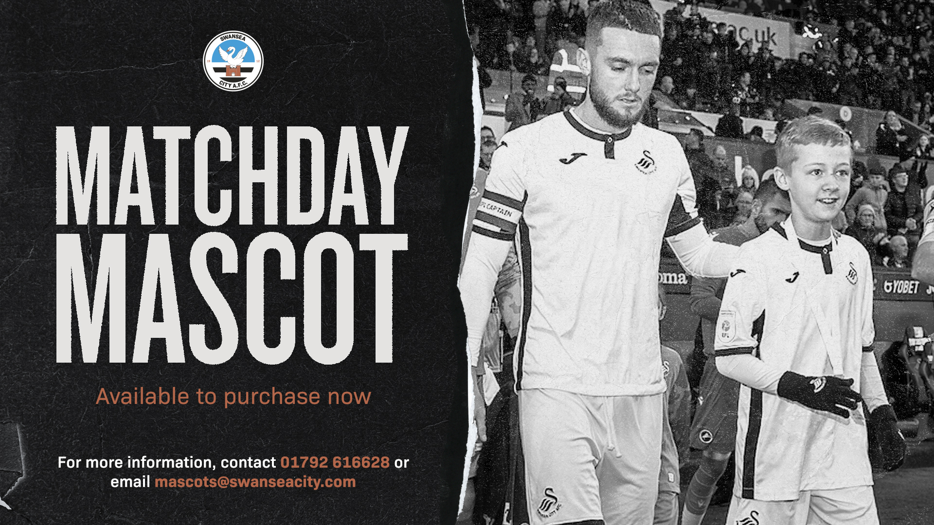 Matchday mascot - email: mascots@swanseacity.com for details