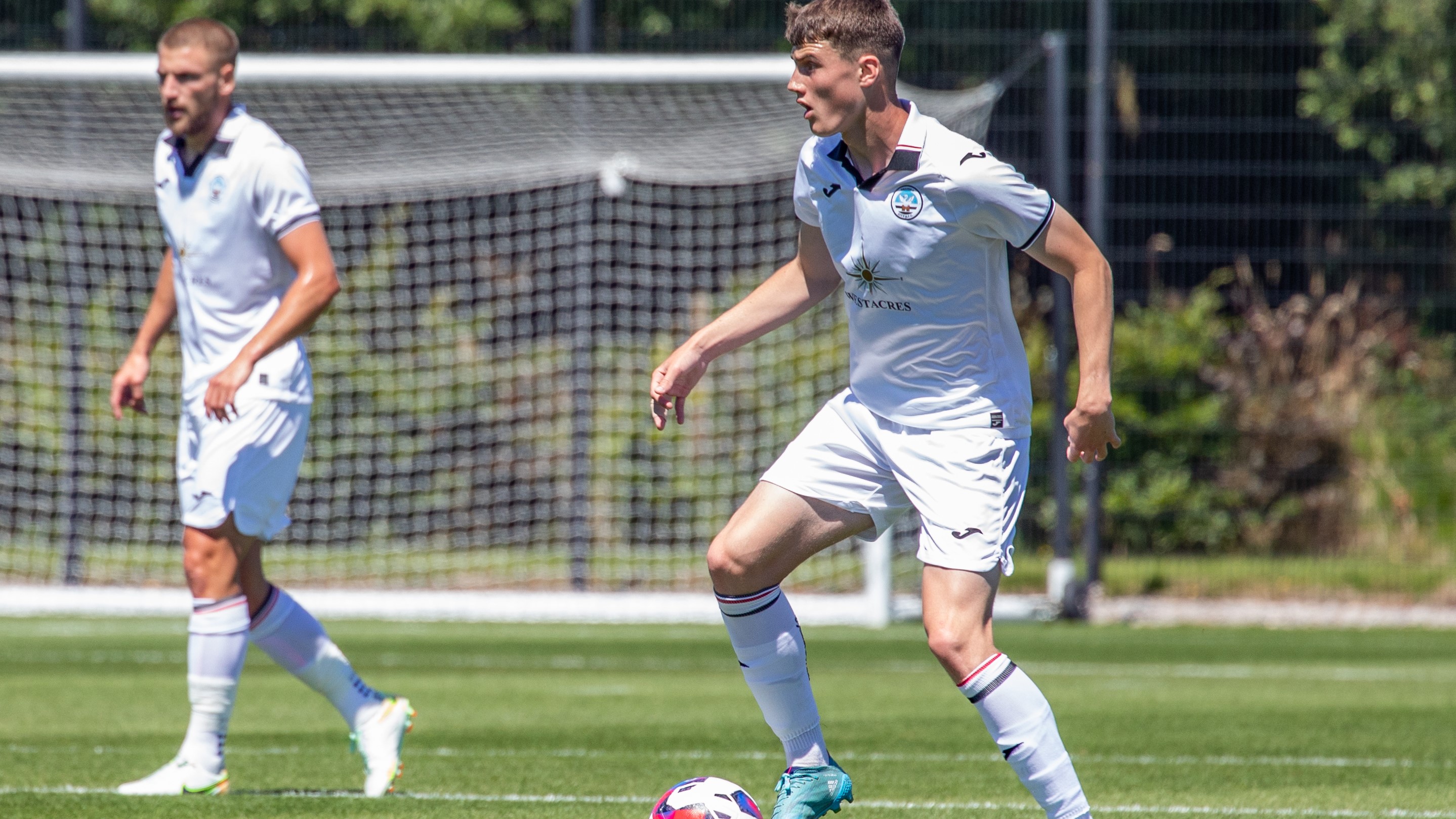 Forest Green friendly gallery (H)