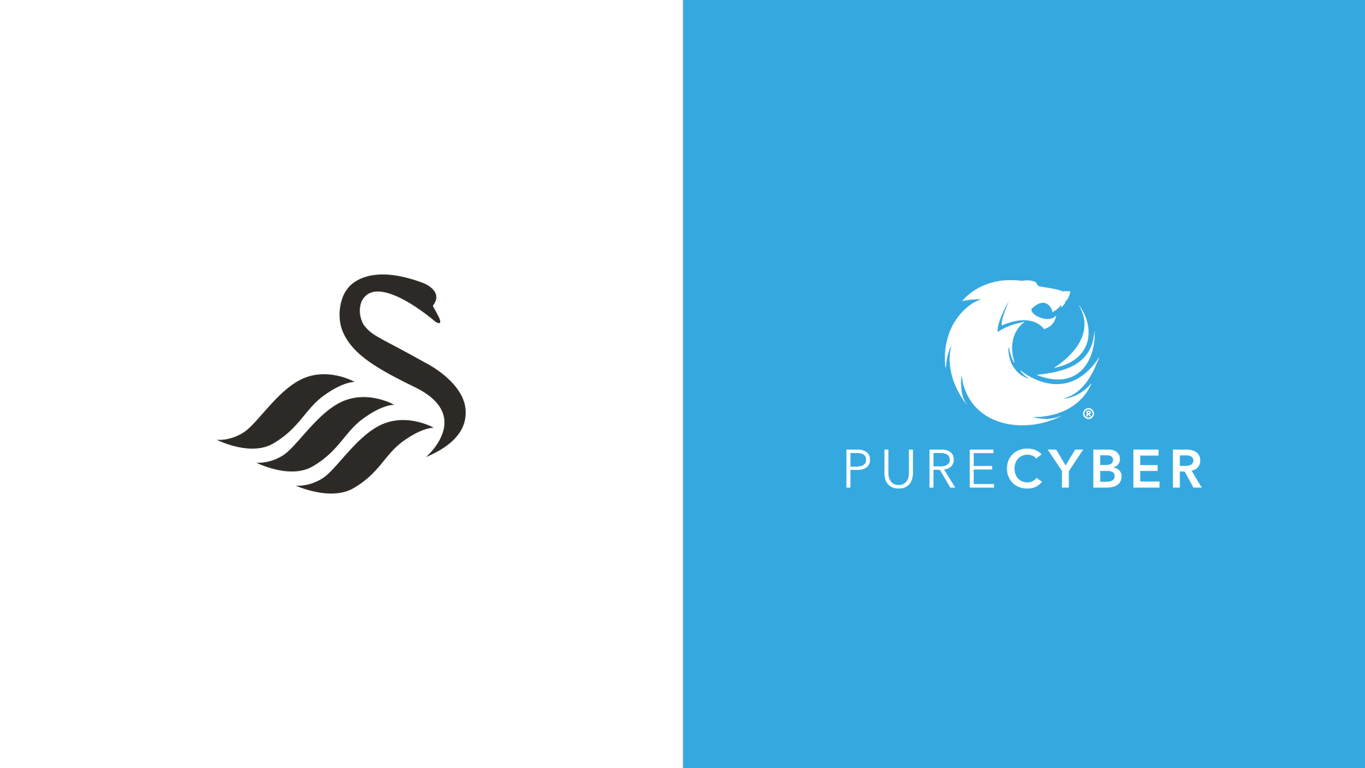 Swansea City and PureCyber