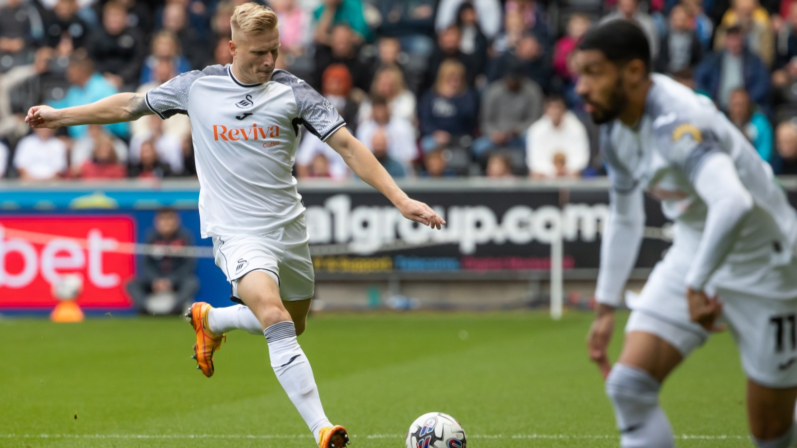  Kristian Pedersen Sheffield Wednesday