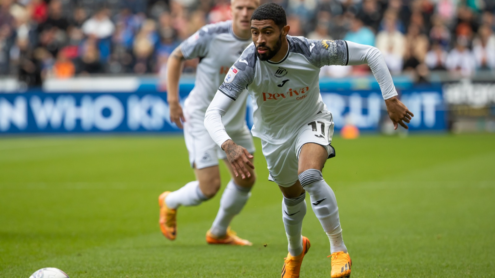 Josh Ginnelly Sheffield Wednesday