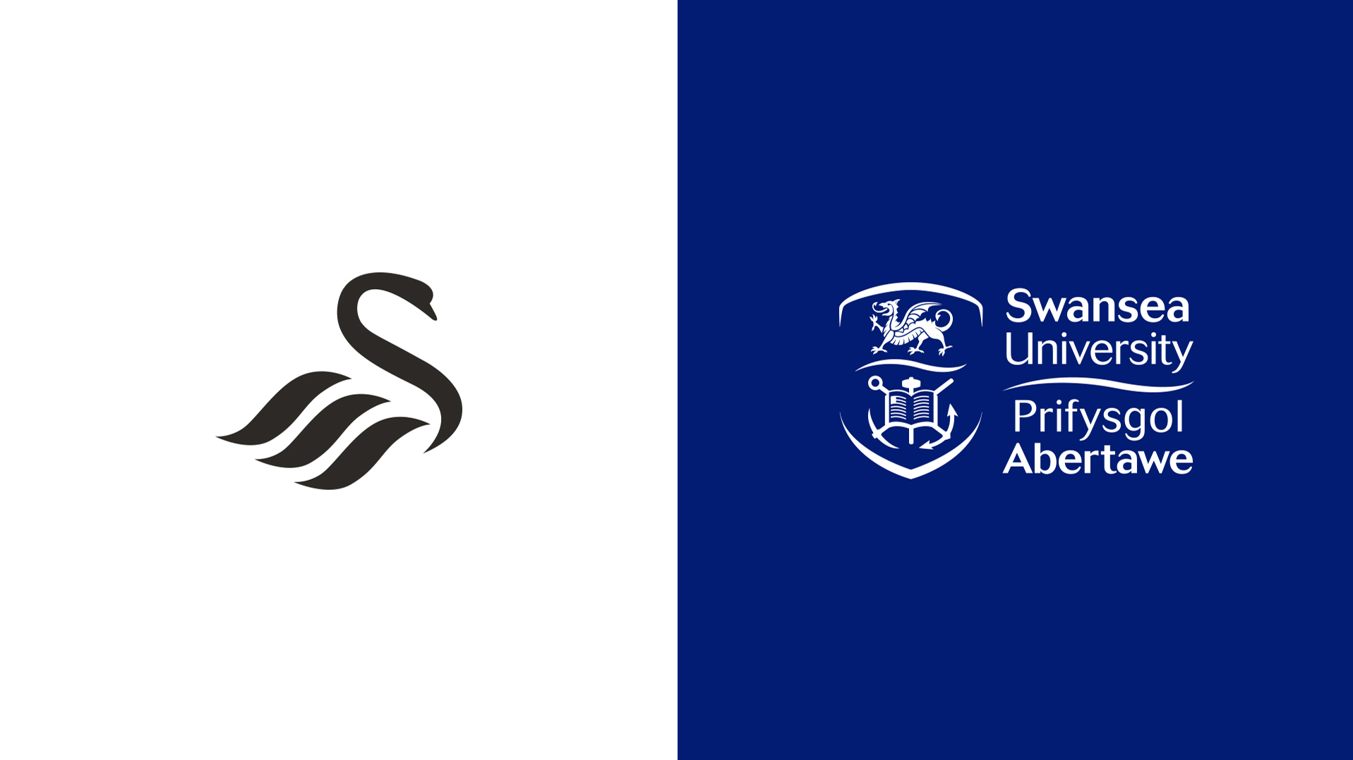 Swansea University lockup