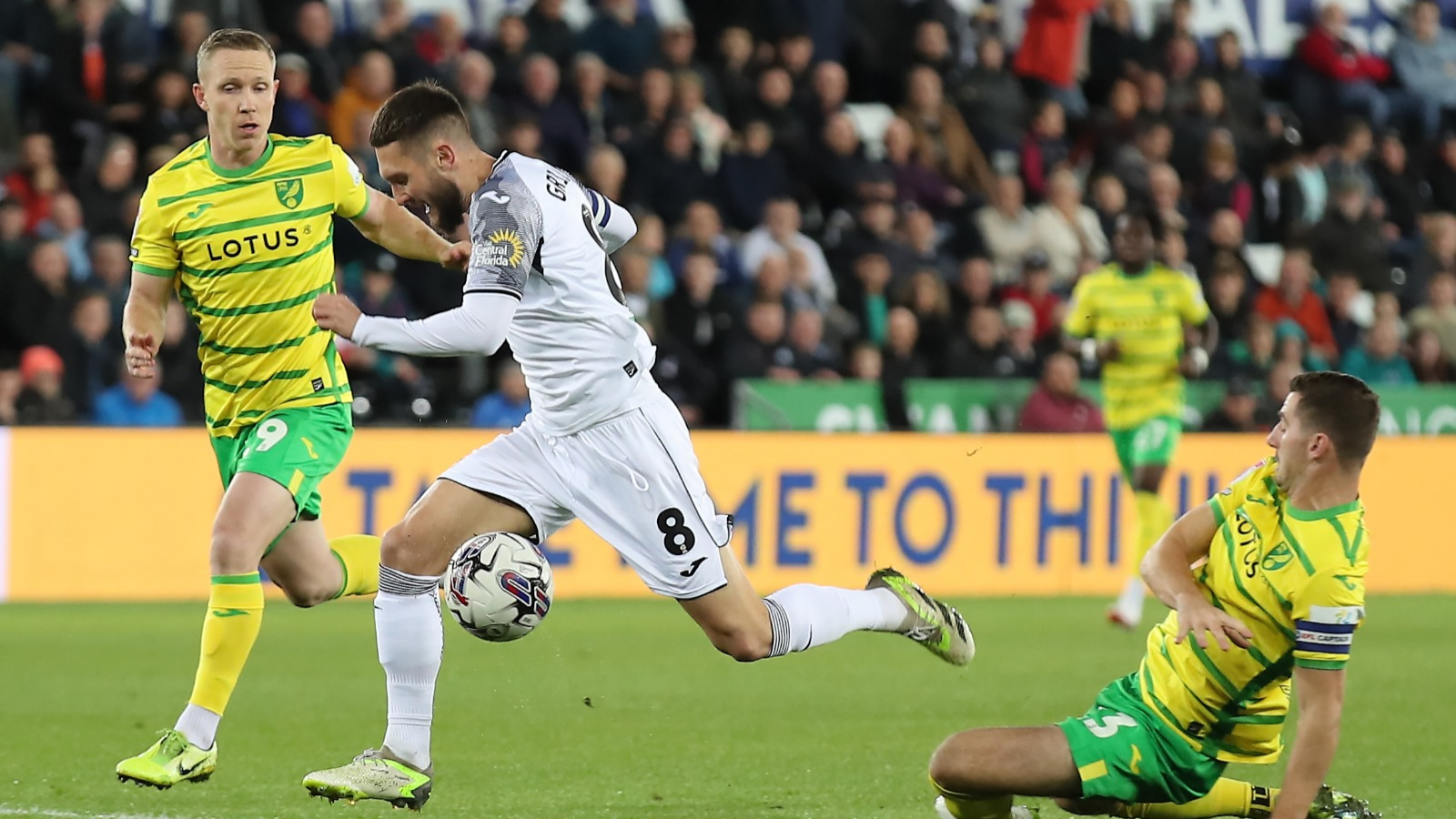 Palpite Swansea City vs Norwich City: 04/10/2023 - Championship