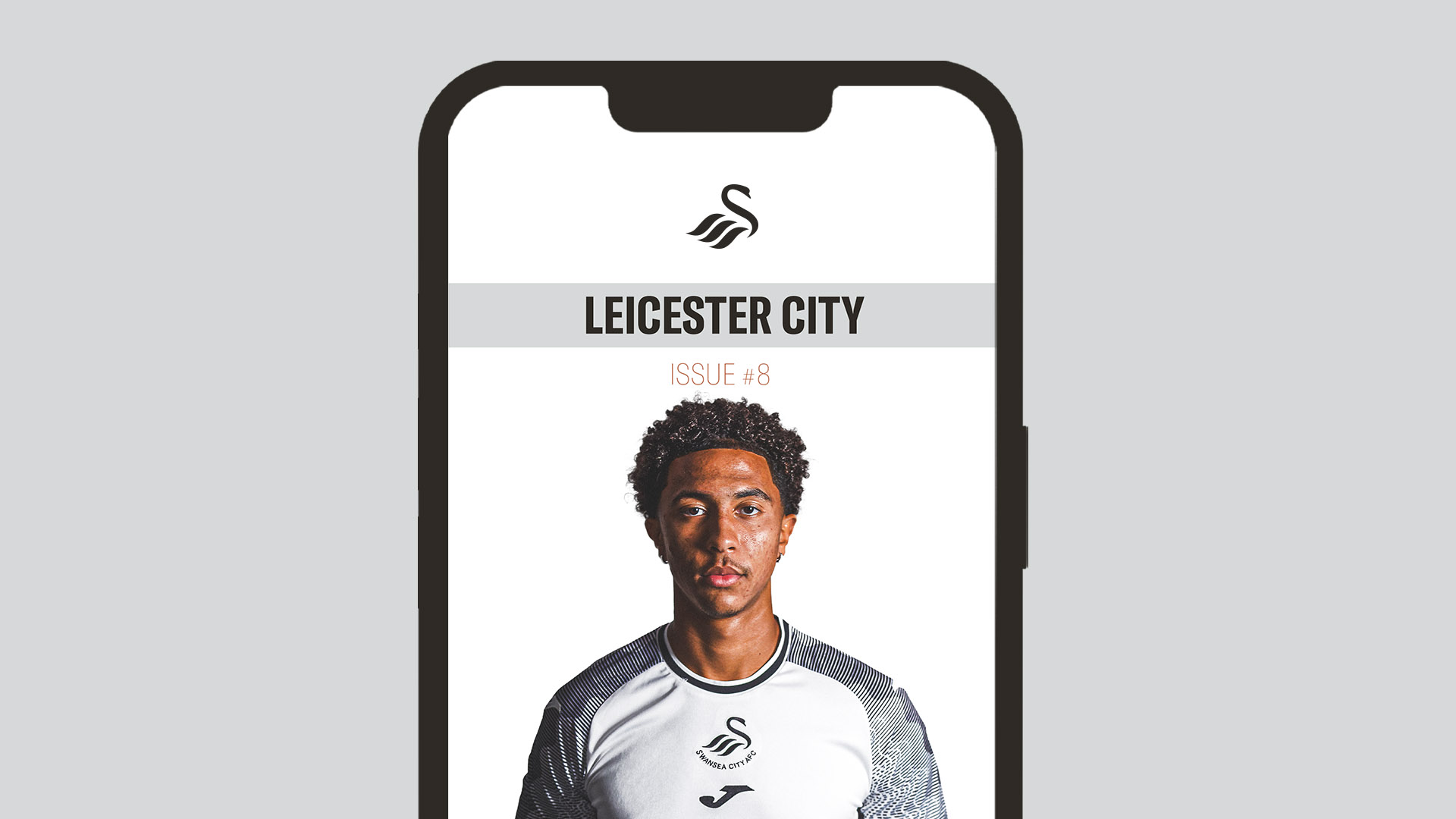 Leicester City programme artwork
