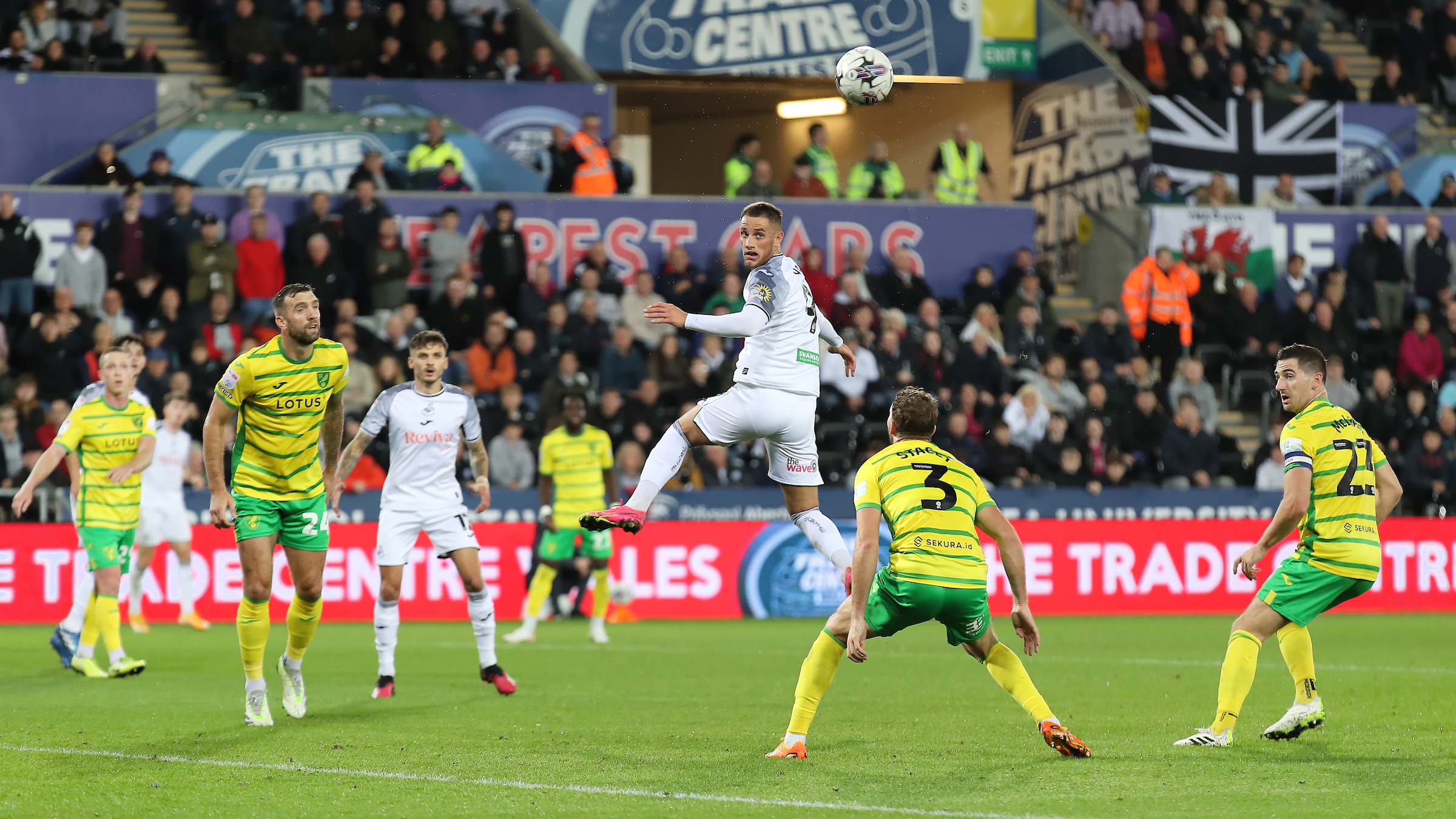 Palpite Swansea City vs Norwich City: 04/10/2023 - Championship