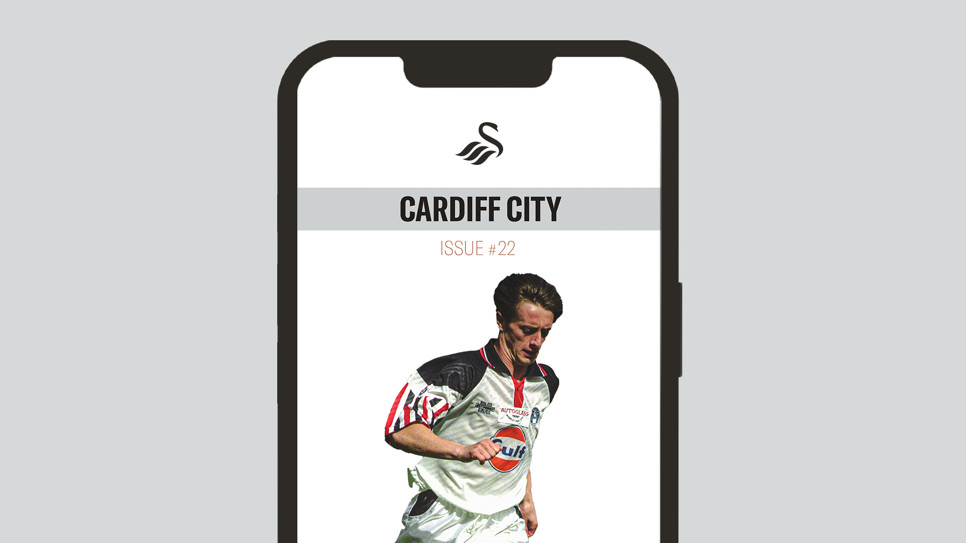 Cardiff City programme artwork