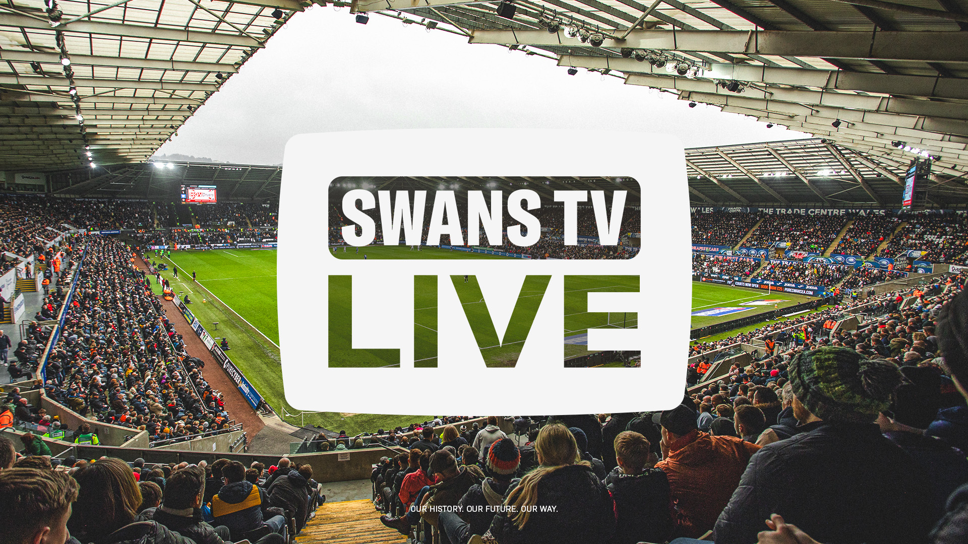 Swans TV Live Graphic - Daytime