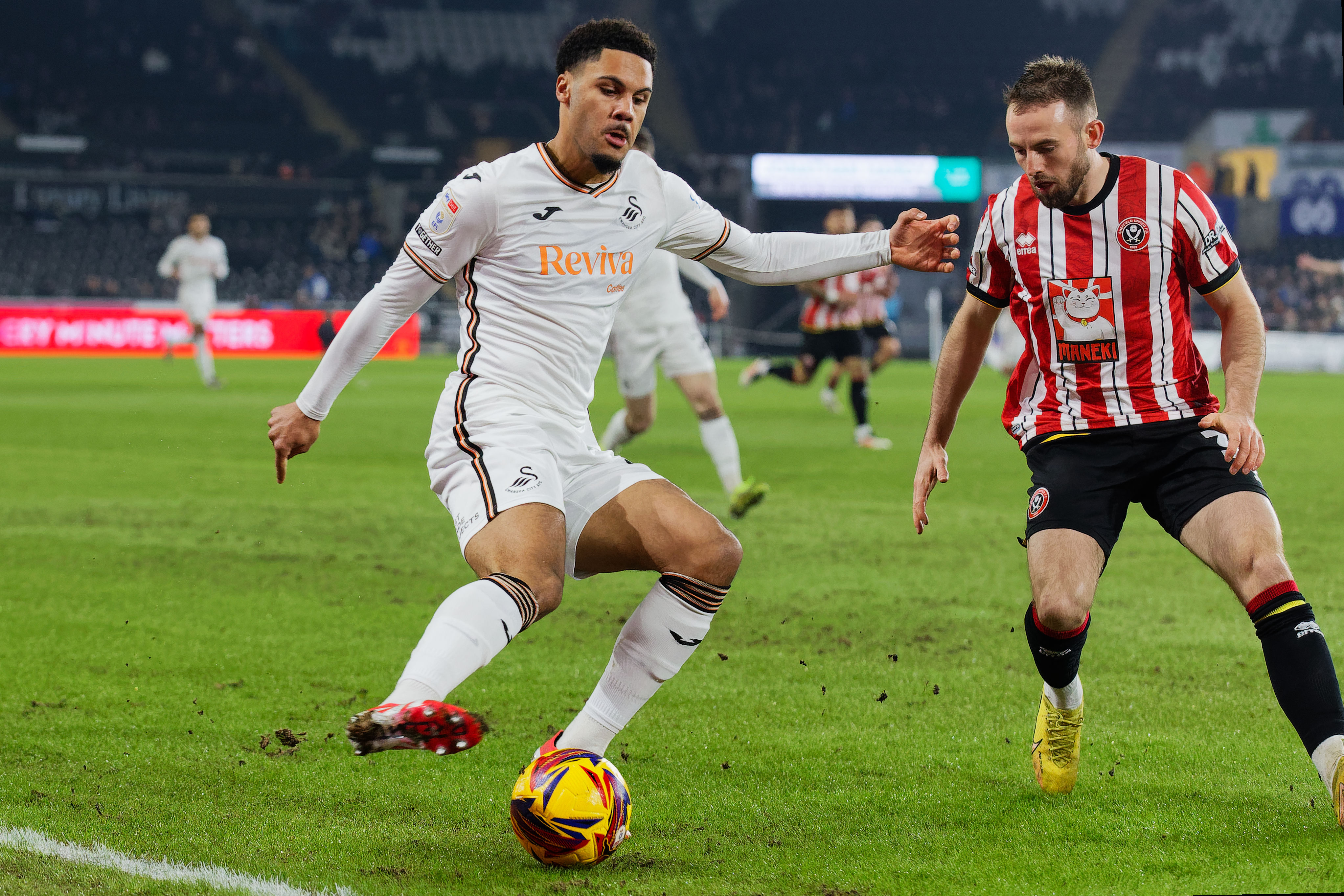 Myles Peart-Harris Sheffield United 