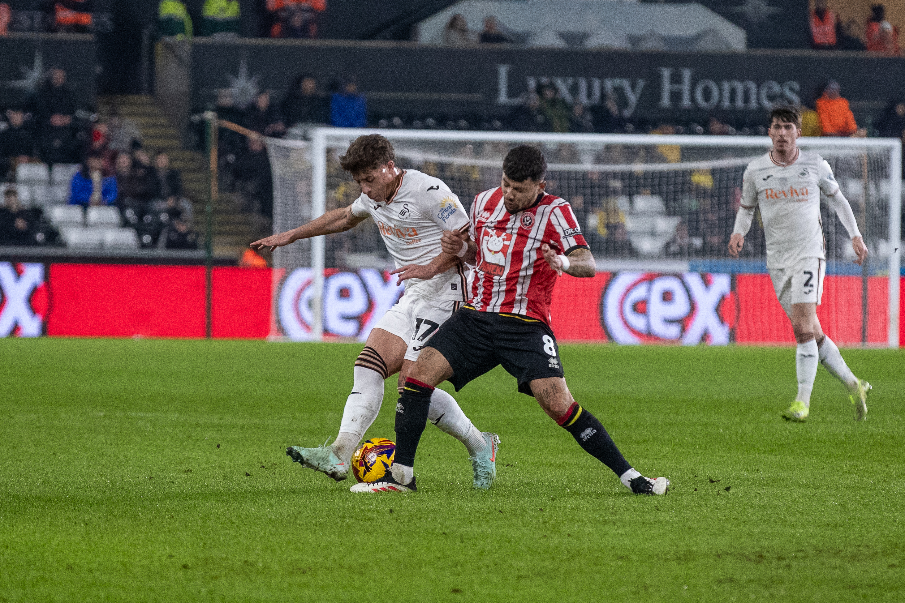 Franco v Sheffield United