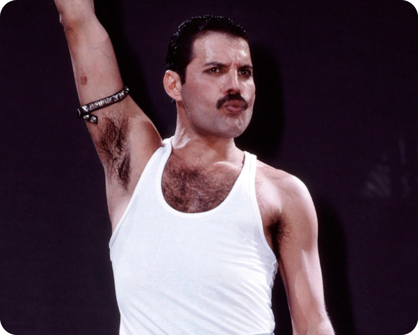 Freddie Mercury