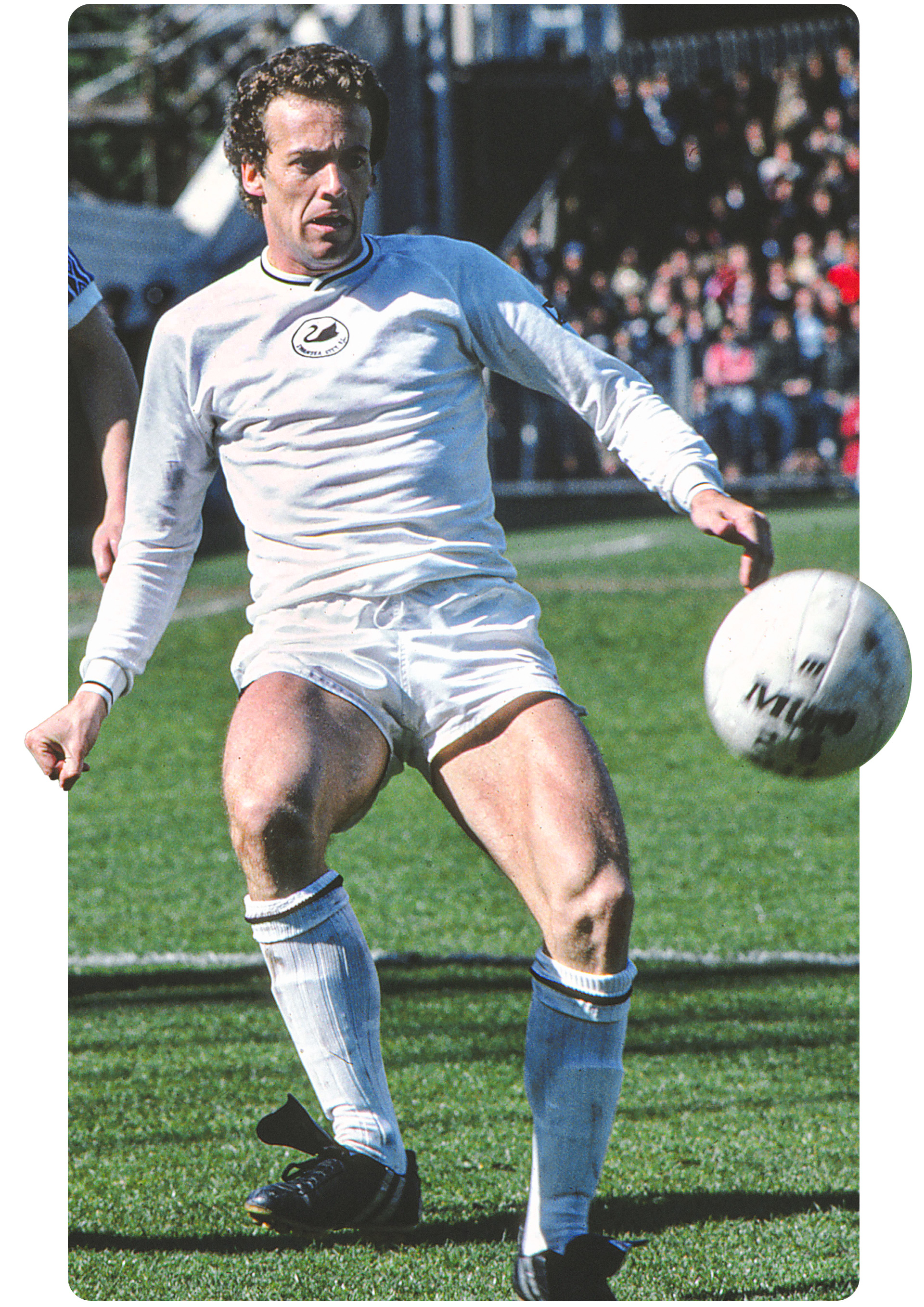 Image of Alan Curtis