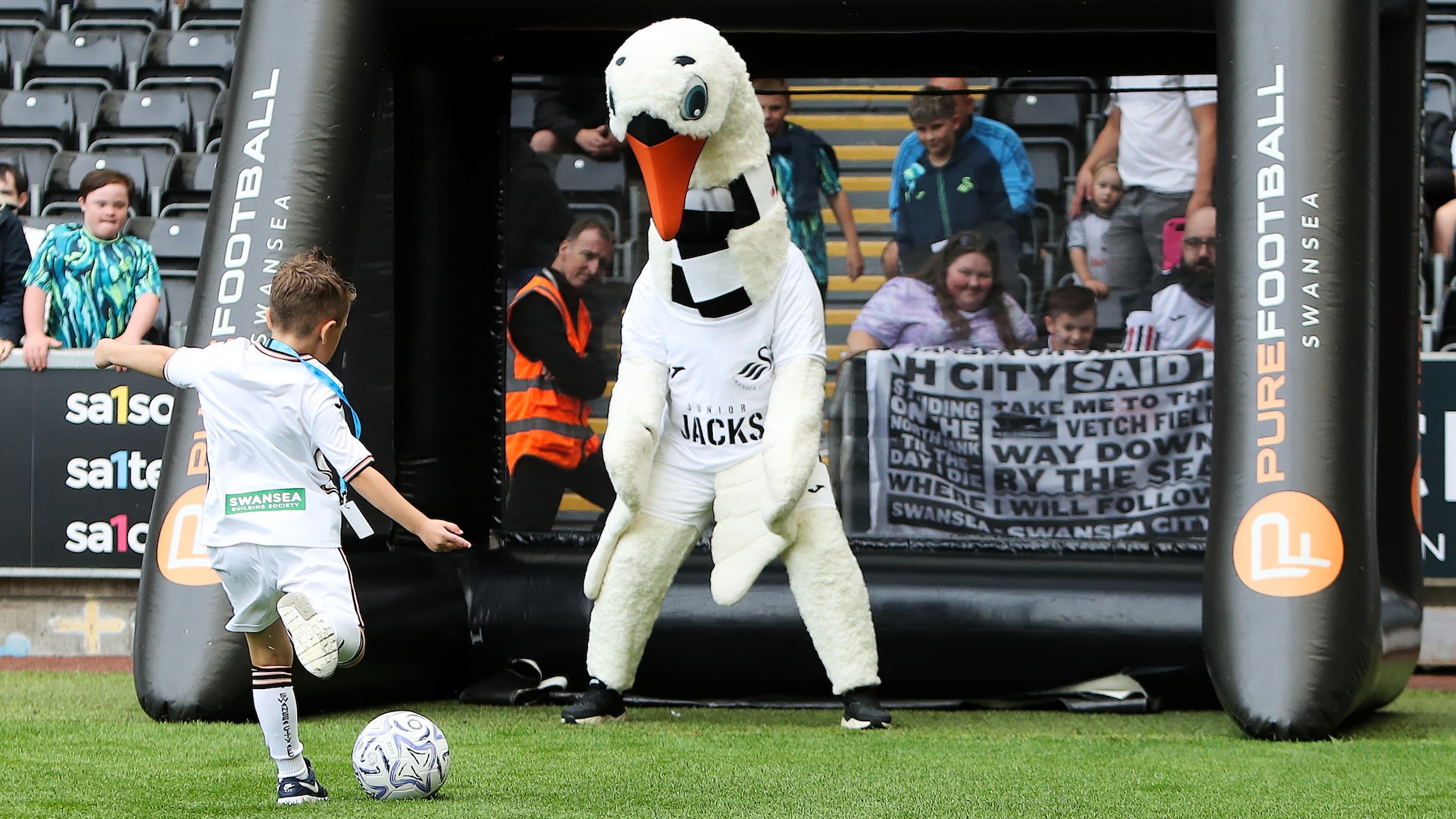 Cyril the Swans in goal