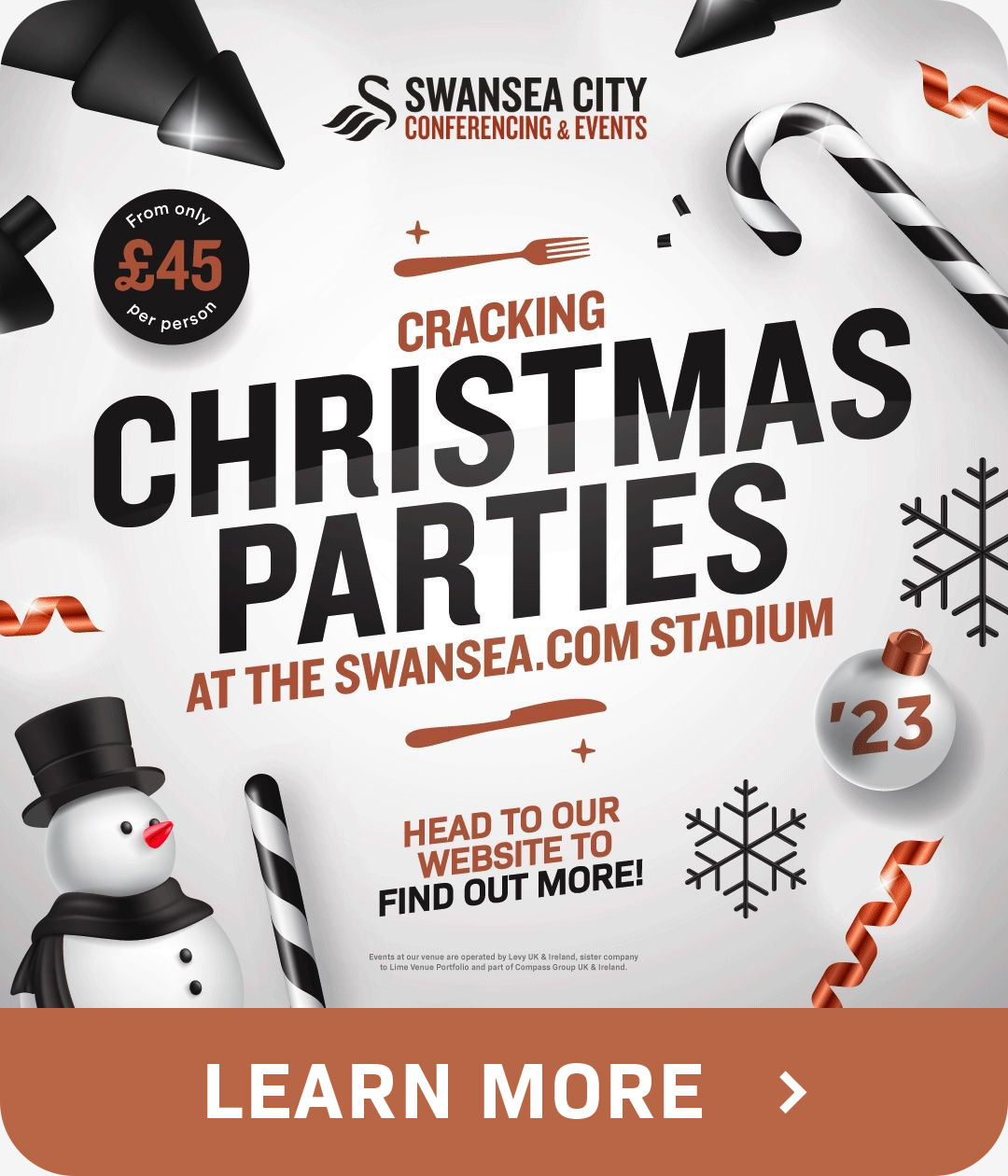 Christmas Parties at the Swansea.com Advert