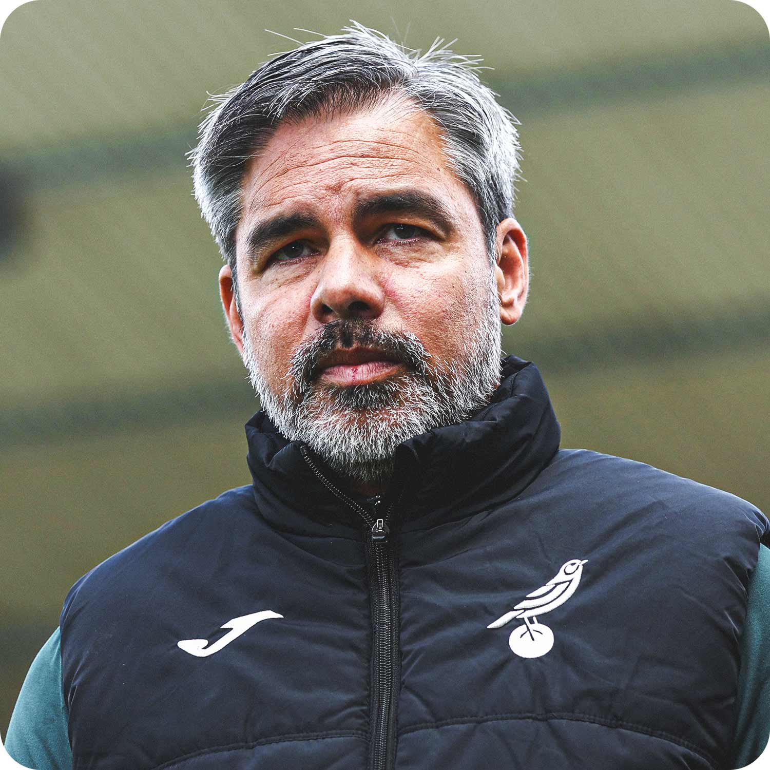 Photograph of the Norwich City manager David Wagner
