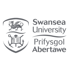 Swansea University