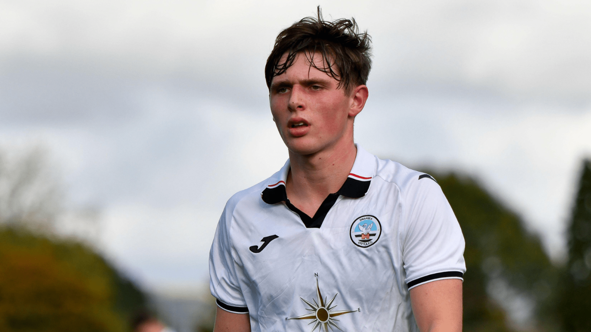 Fin Stevens recalled from Swansea City loan spell Swansea