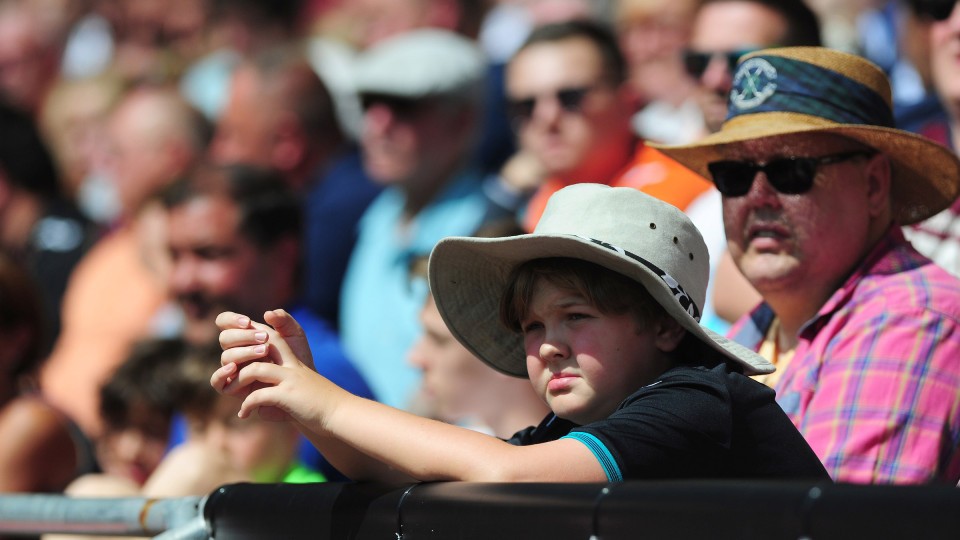 Swansea City supporters