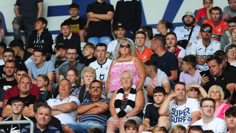 Swansea City supporters