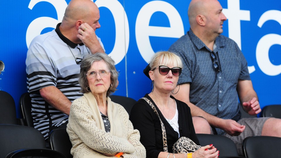 Swansea City supporters