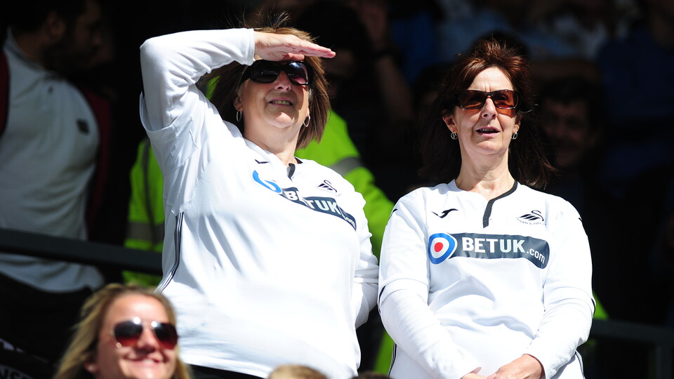 Swansea City fans