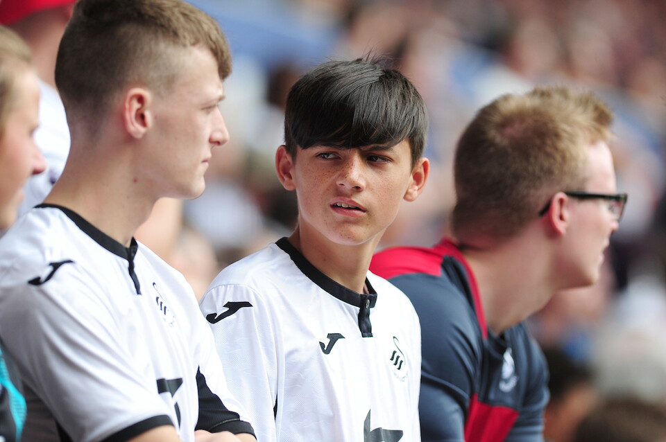 Swansea City supporters