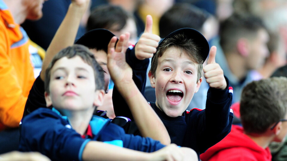 Fans 12