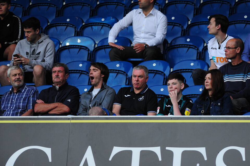 Swansea City fans
