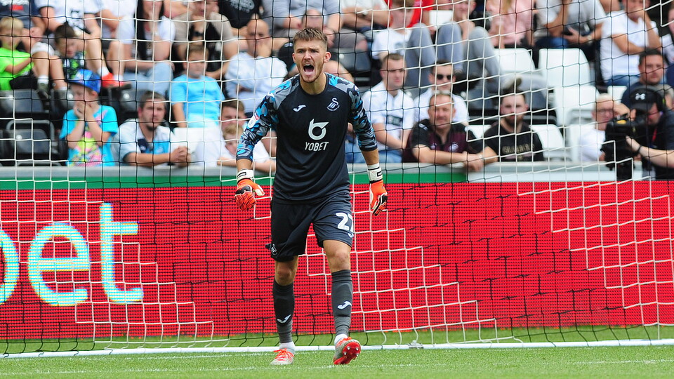 Swansea City v Hull City 