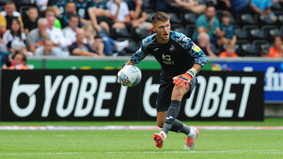 Swansea City v Hull City 