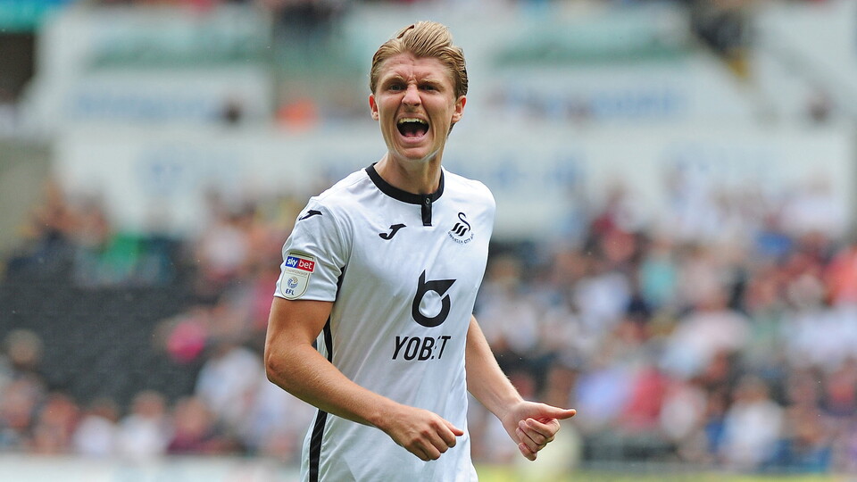 Swansea City v Hull City 