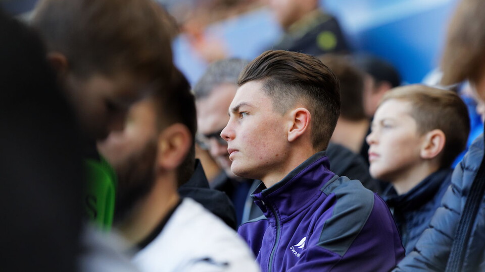 Swansea City fans