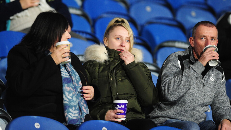Swansea City fans