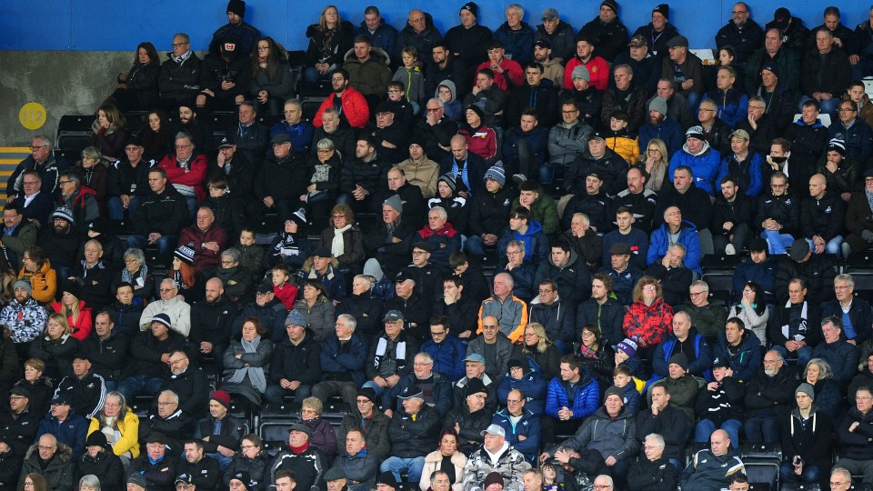 Swansea City fans