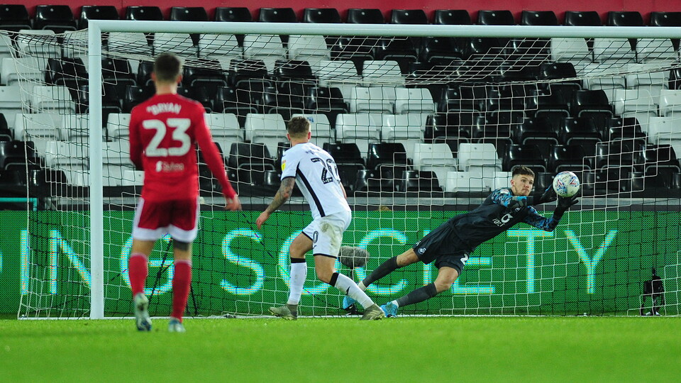 Swansea City v Fulham