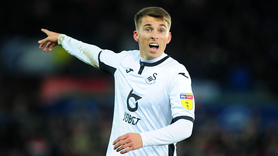 Swansea City v Fulham