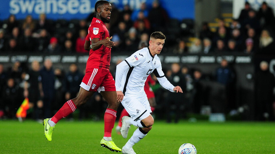 Swansea City v Fulham