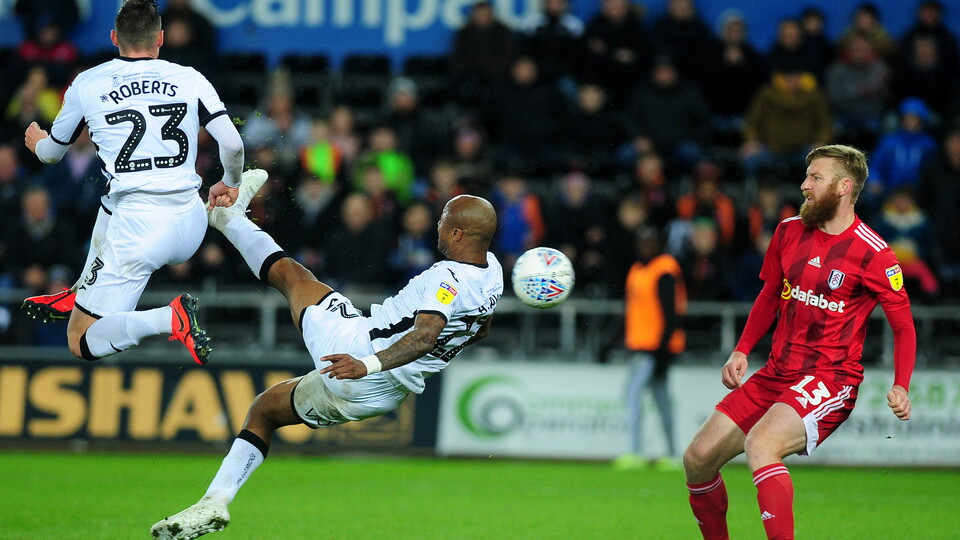 Swansea City v Fulham
