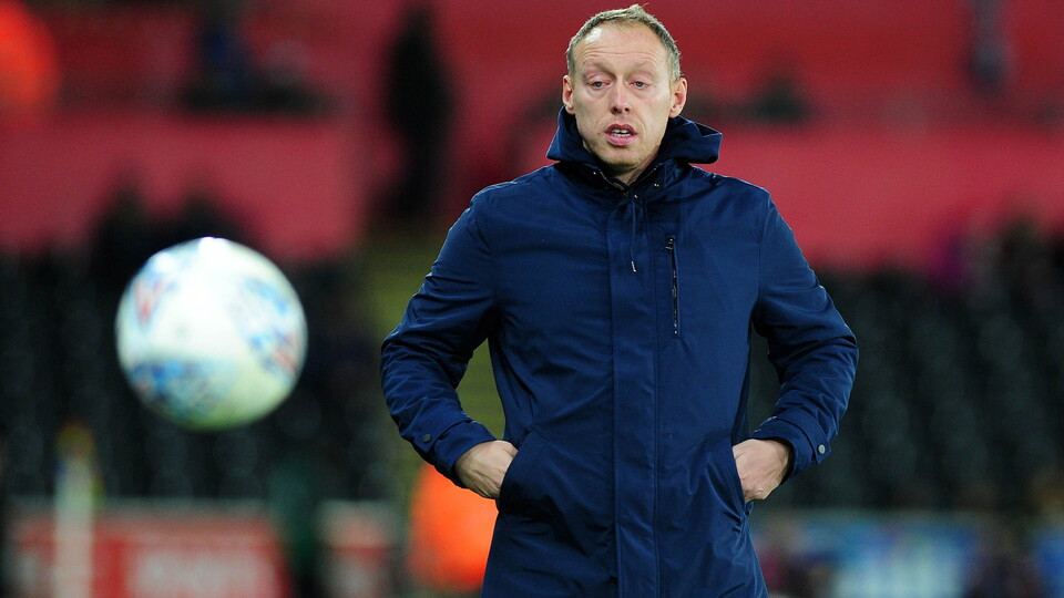Swansea City v Fulham