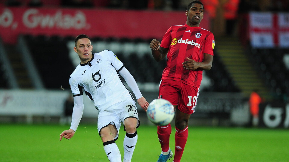Swansea City v Fulham
