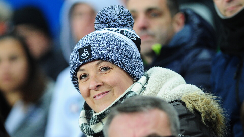 Fans 16