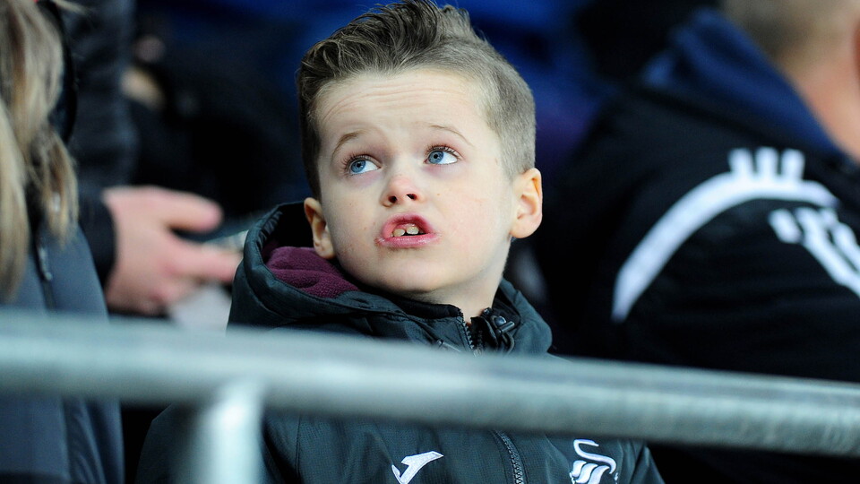 Swansea City fans