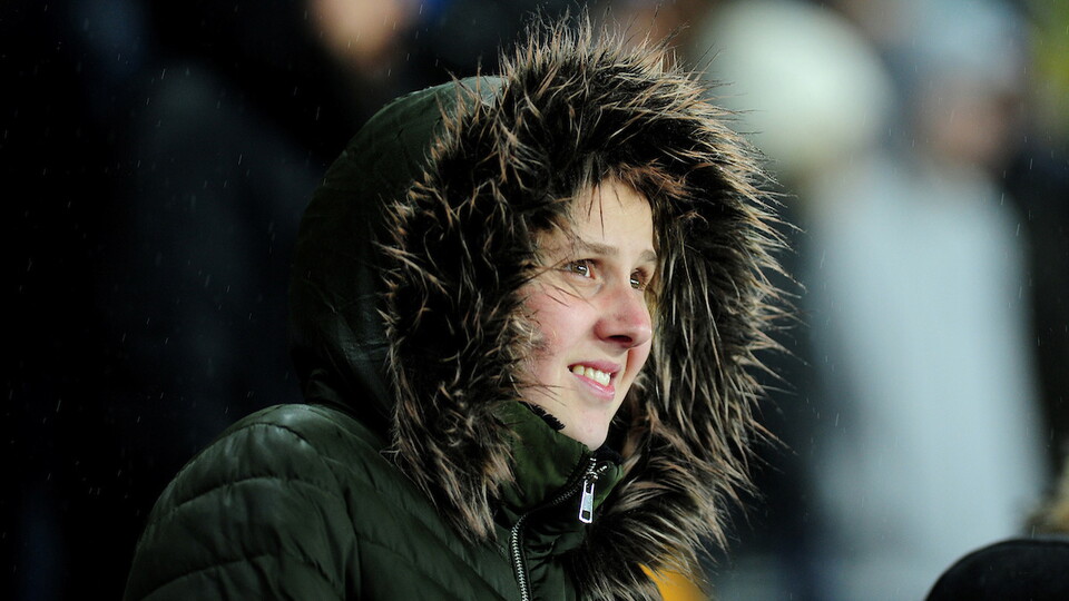 Fans 3