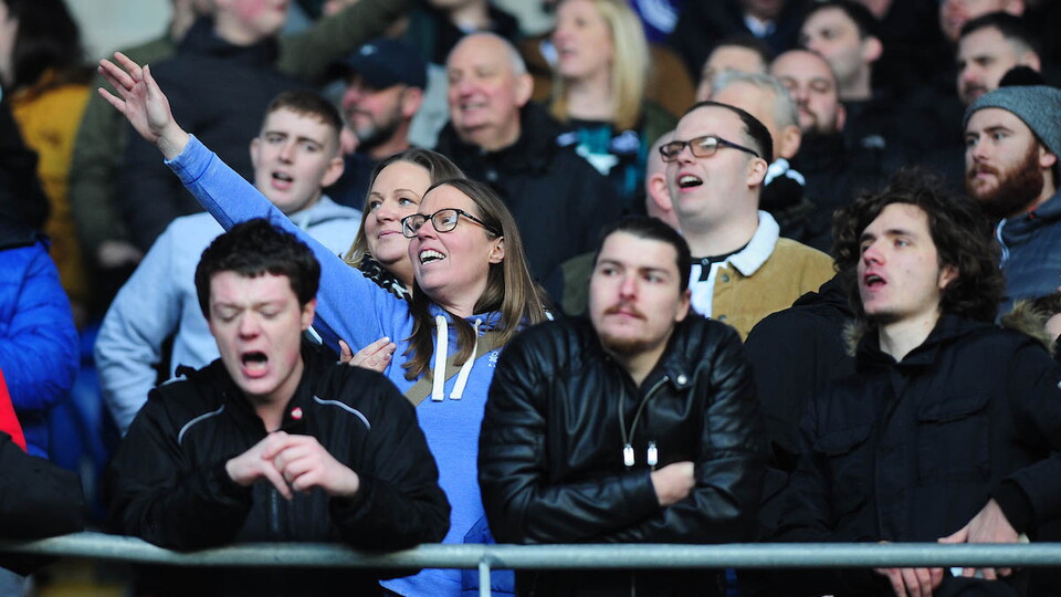 Swansea City fans