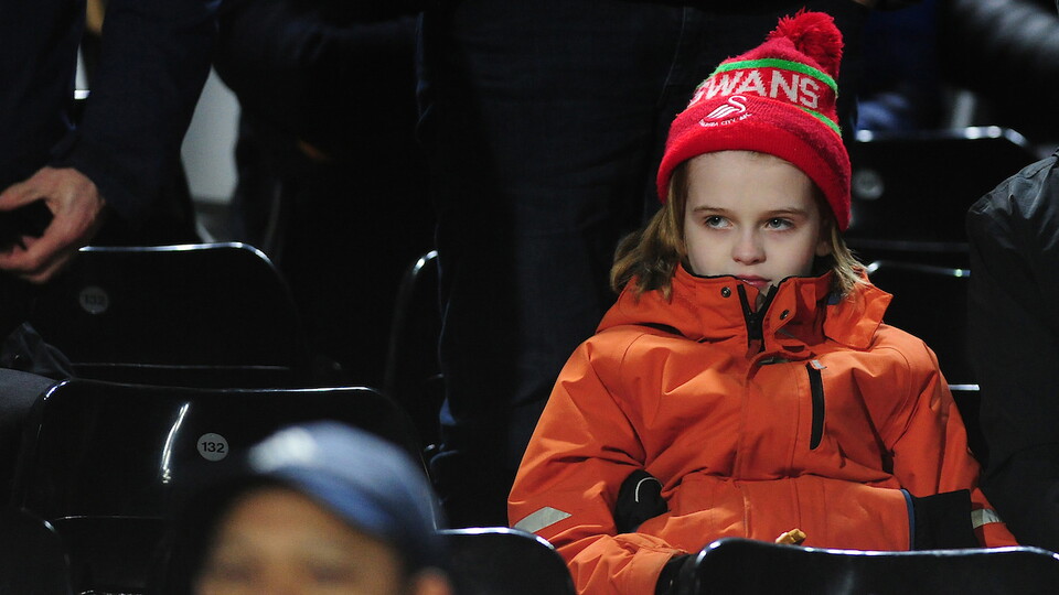 Swansea City supporters